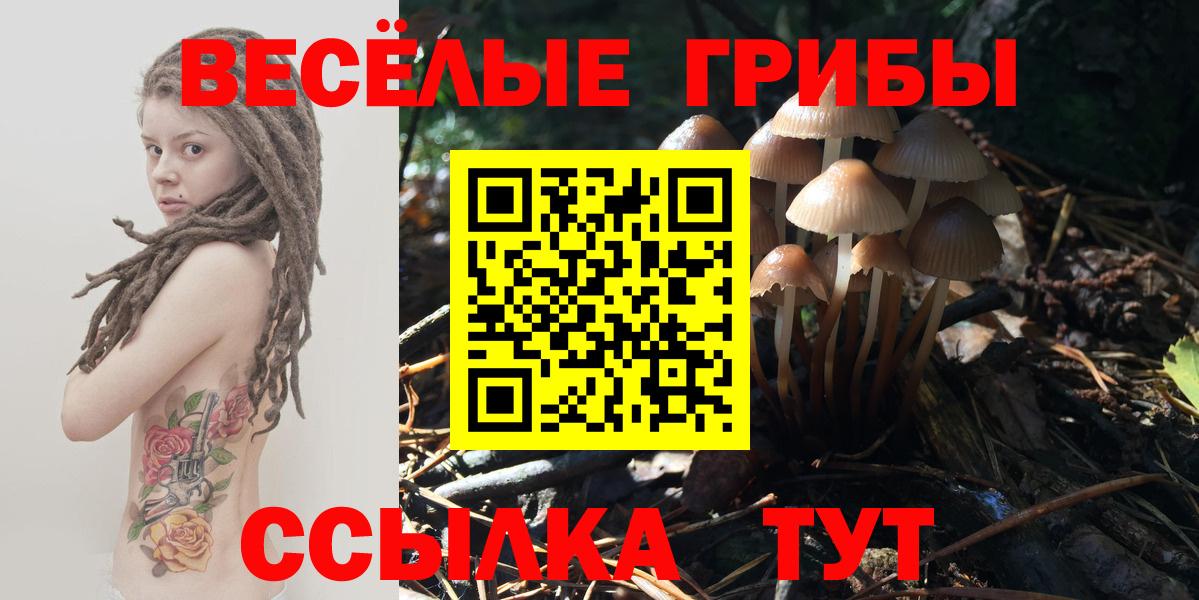 Псилоцибиновые грибы Magic Shrooms  Вход с VPN  Рассказово 